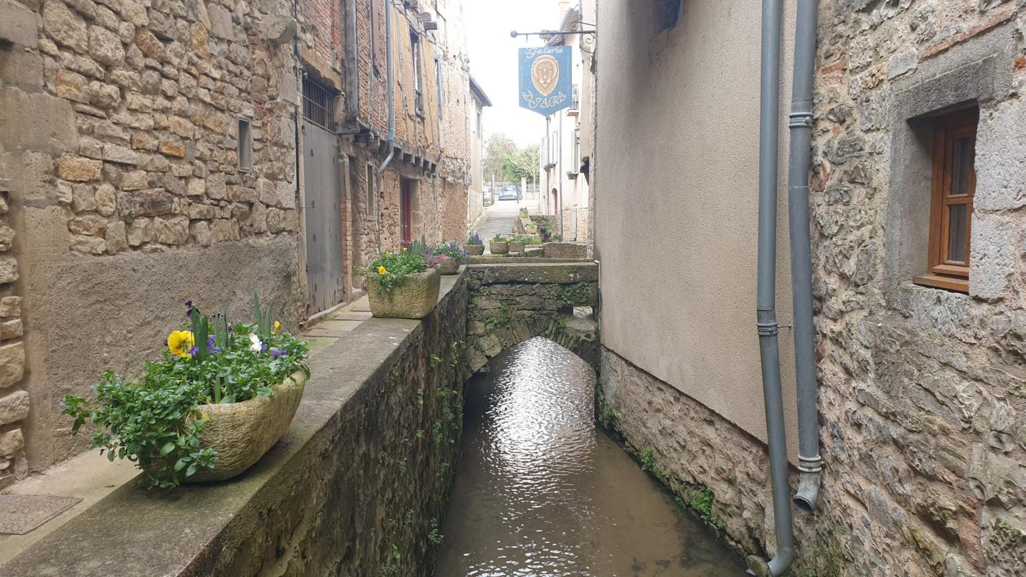Seuls En Pleine Nature - Gite La Cote Blanche Puygaillard-de-Quercy المظهر الخارجي الصورة