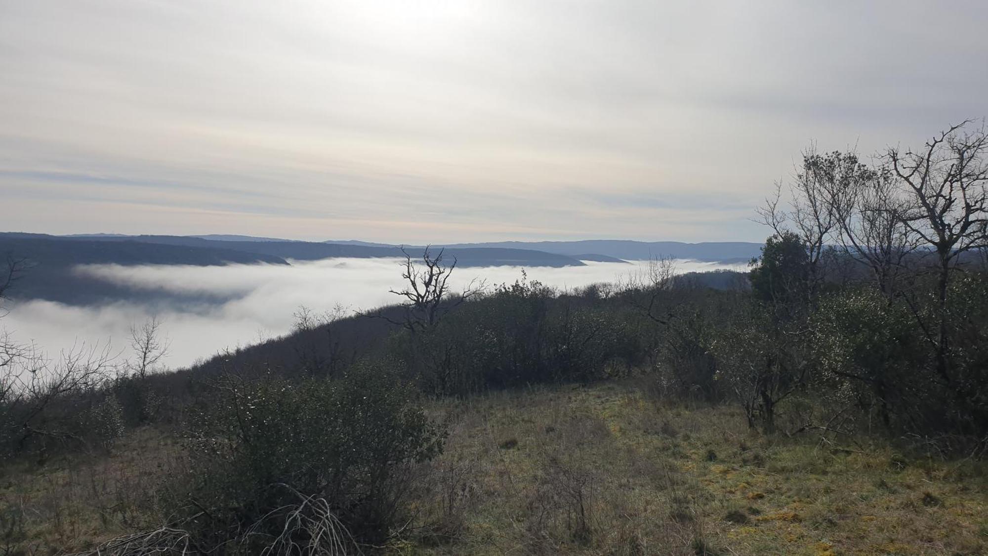 Seuls En Pleine Nature - Gite La Cote Blanche Puygaillard-de-Quercy المظهر الخارجي الصورة