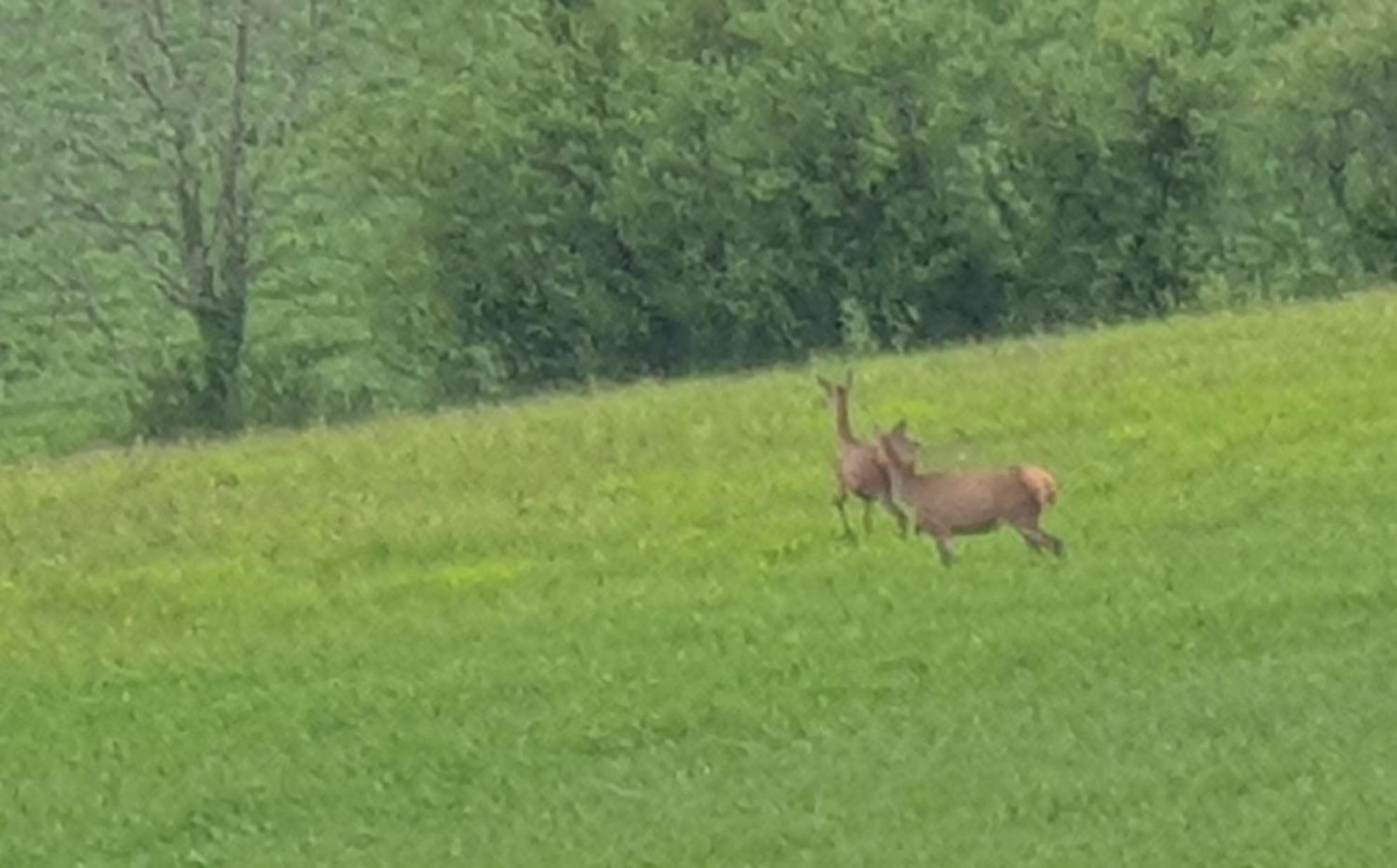 Seuls En Pleine Nature - Gite La Cote Blanche Puygaillard-de-Quercy المظهر الخارجي الصورة
