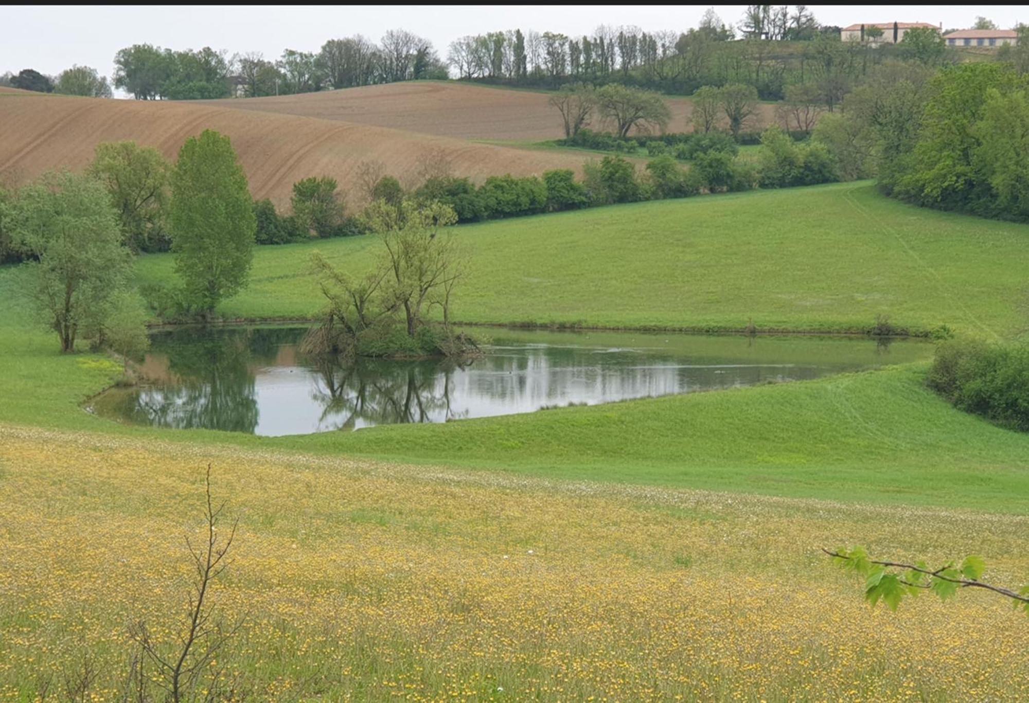 Seuls En Pleine Nature - Gite La Cote Blanche Puygaillard-de-Quercy المظهر الخارجي الصورة