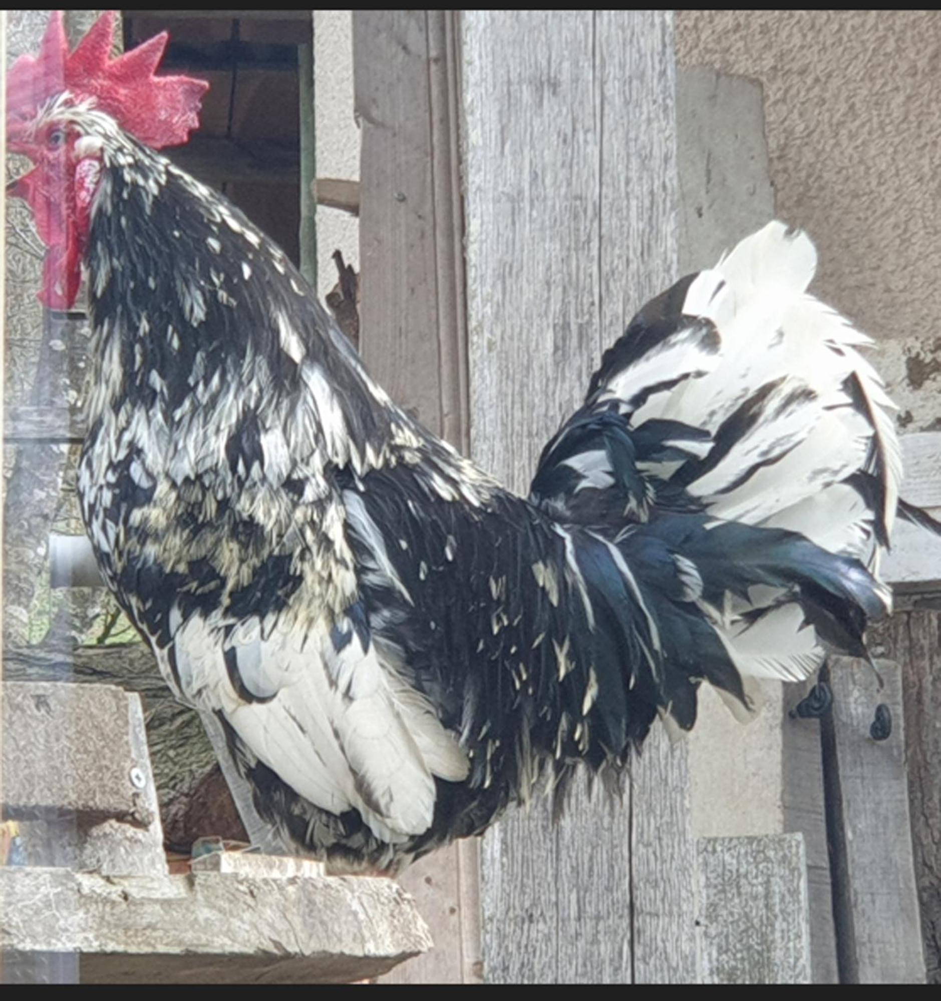 Seuls En Pleine Nature - Gite La Cote Blanche Puygaillard-de-Quercy المظهر الخارجي الصورة